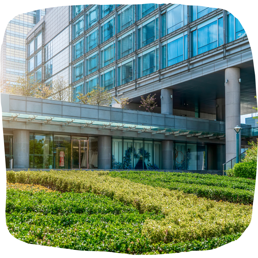 Untitled design - 2024-08-14T092423.072